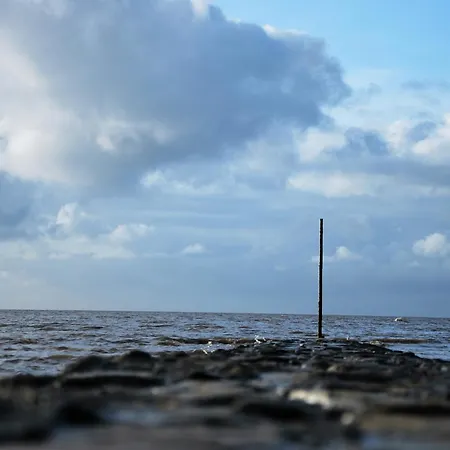 Apartment Haus Am Muehlenpark Whg. 8