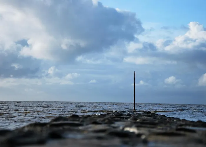 Appartement Haus Am Muehlenpark Whg. 8